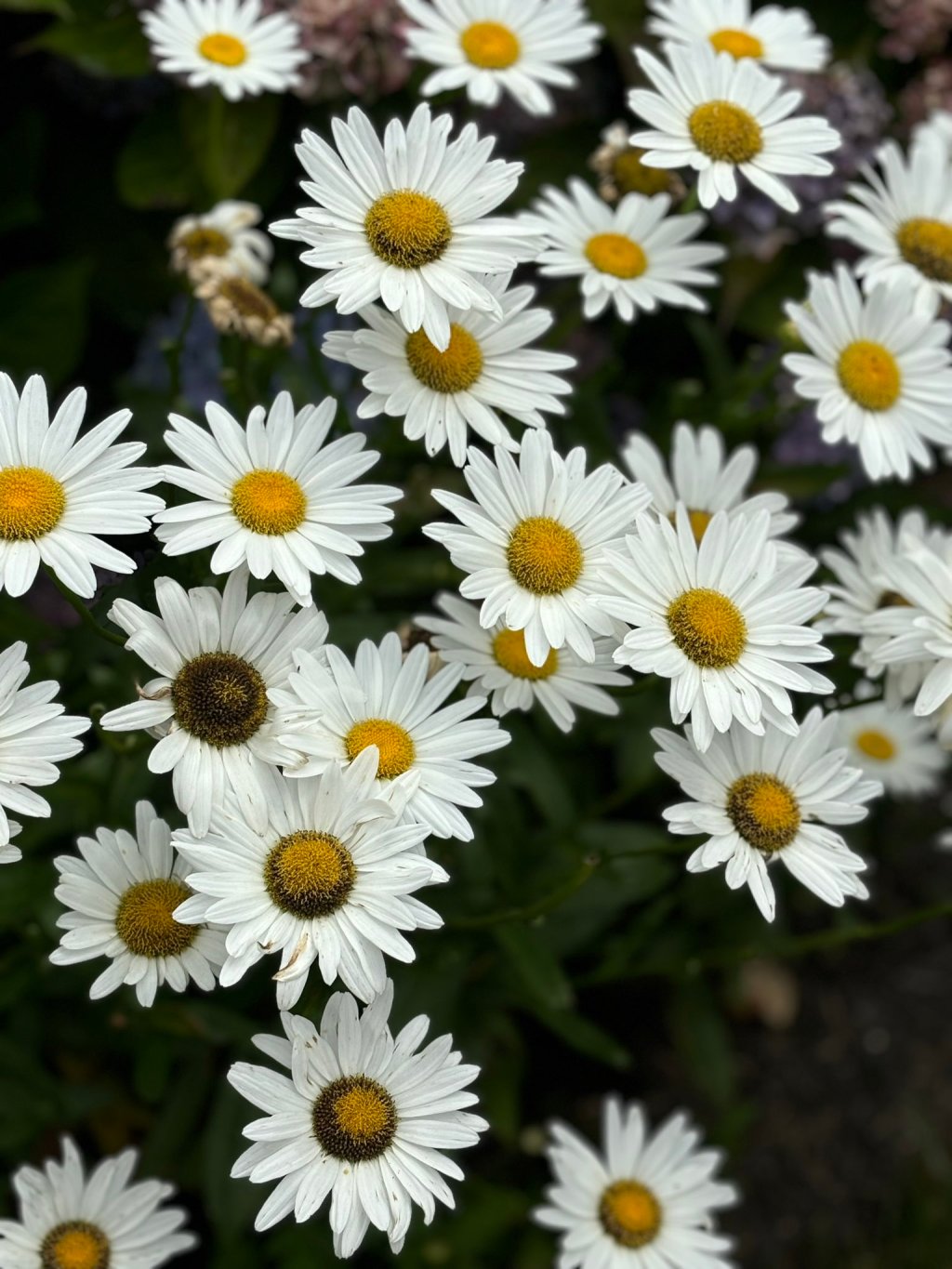 Oh, it was a&nbsp;summer.